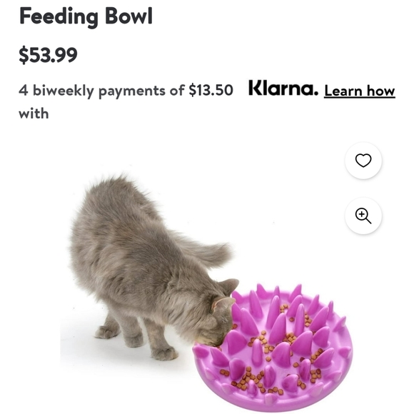 HOST PICK🎉  NIB Slow Feeding Bowl - Picture 5 of 6